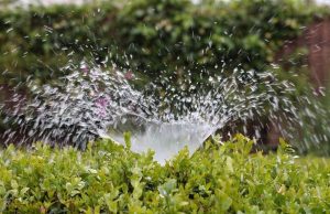 Irrigation Audits