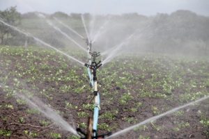 Irrigation System Solutions
